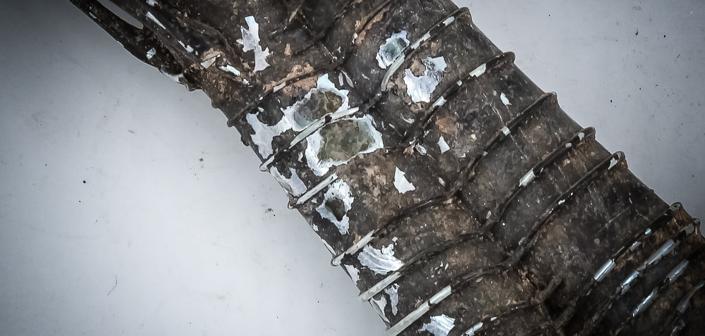 A Glass Double Unguentaria