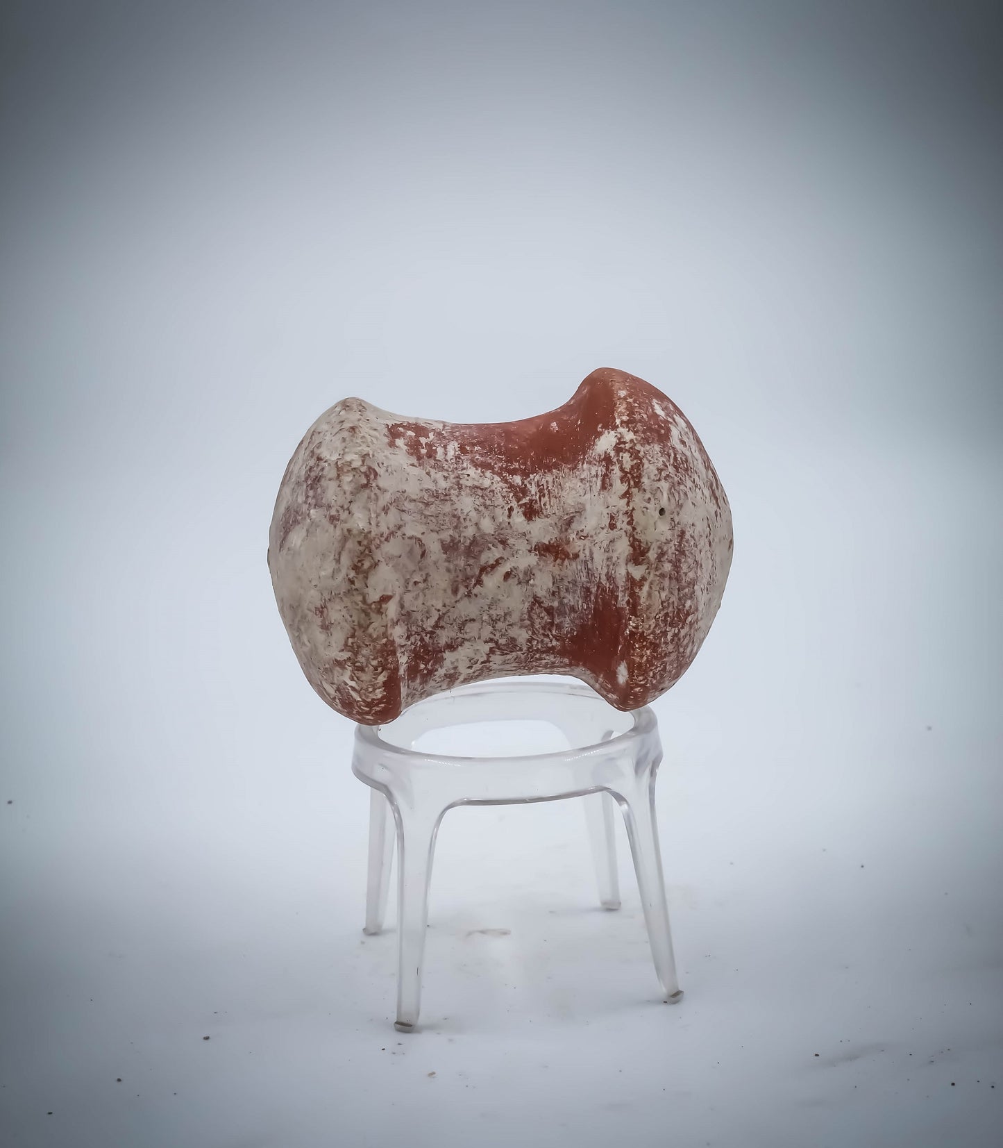 A Judahite Terracotta Rattle