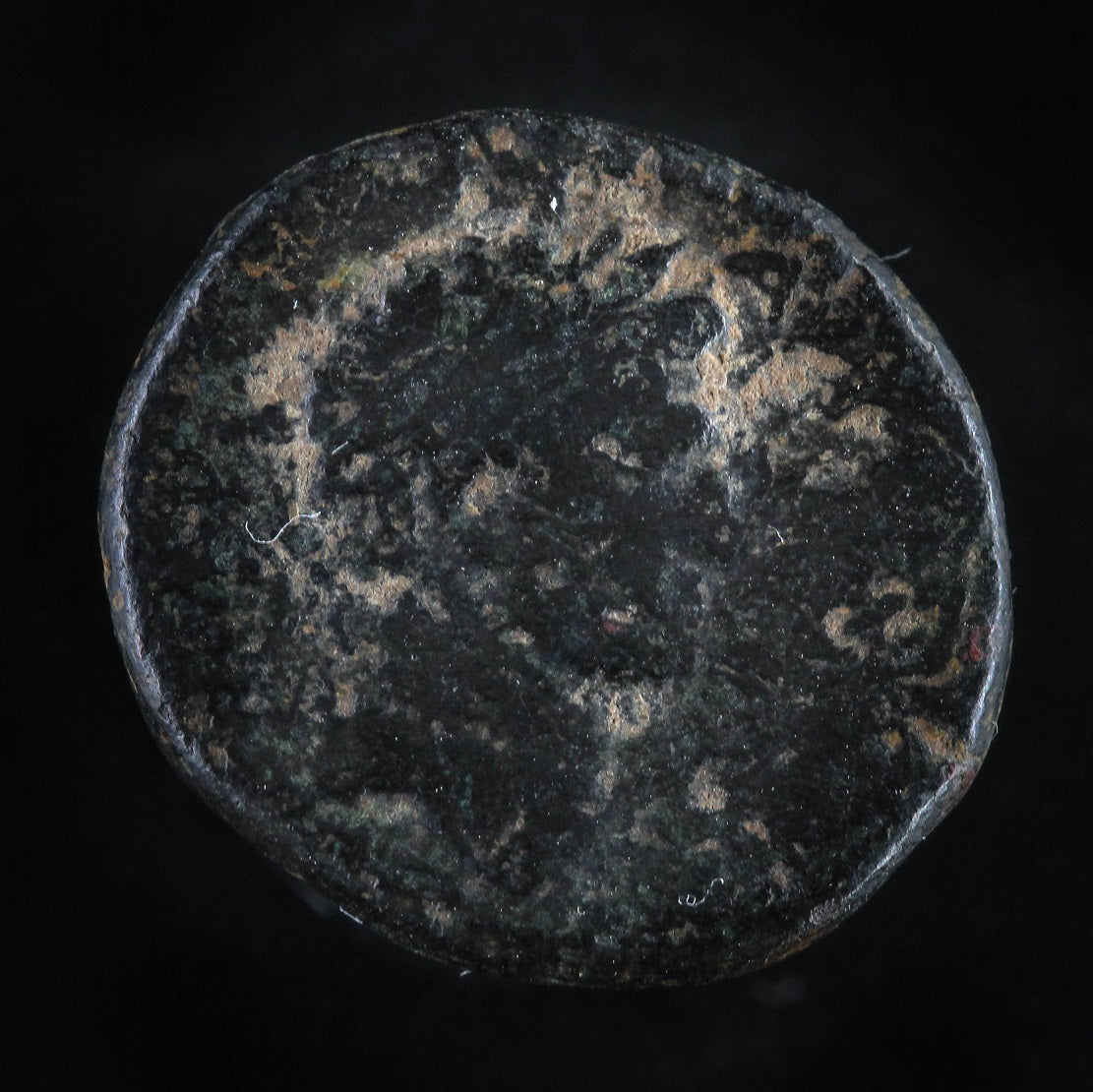 Herod Agrippa II Coin