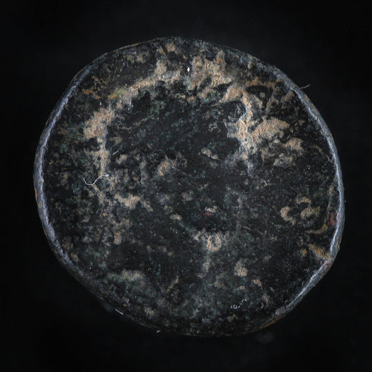 Herod Agrippa II Coin