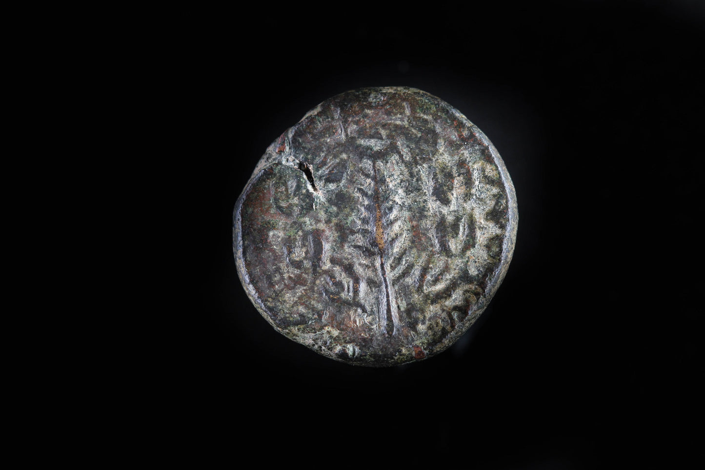 SHIMON BAR-KOKHBA COIN
