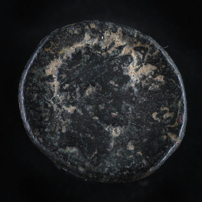 Herod Agrippa II Coin