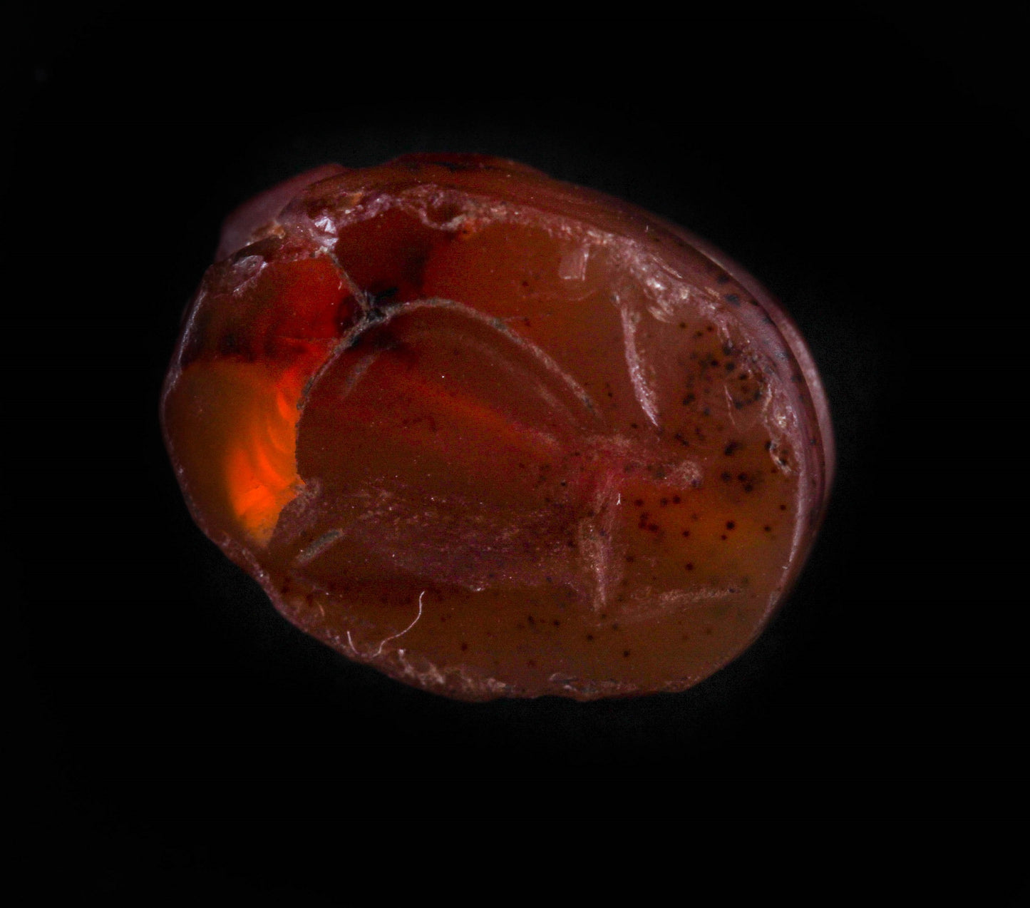 A CARNELIAN SCARAB SEAL