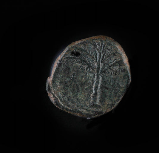 SIMON BAR KOKHBA BRONZE COIN – JEWISH REVOLT