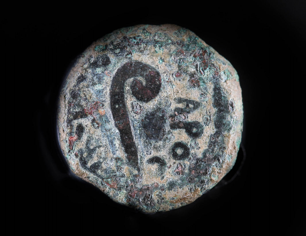 Coins of the Bible – The Oriental Museum