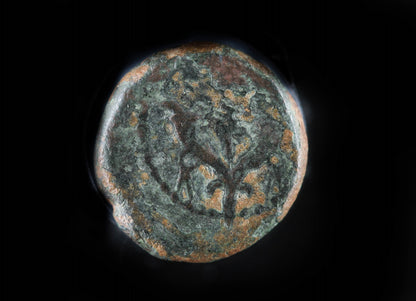 Hasmonaean Double cornucopia Coin