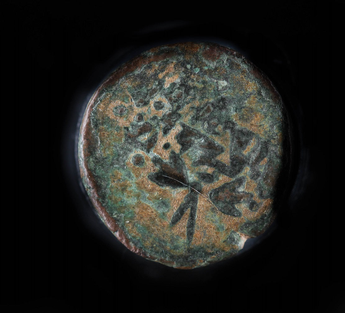 Hasmonaean Double cornucopia Coin