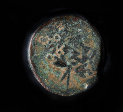 Hasmonaean Double cornucopia Coin